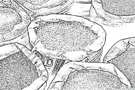 rice Coloring Pages To Print